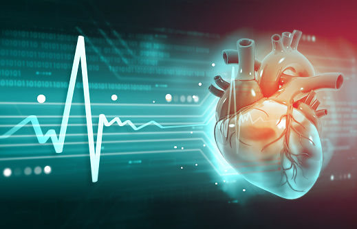 Heart Failure Analysis